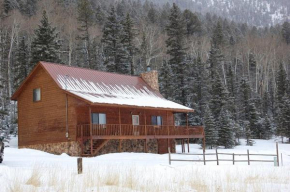 Artz Valley Cabin - WiFi - Satellite - Washer - Dryer - Wrap Around Deck - Wood Burning Fireplace - Secluded Setting